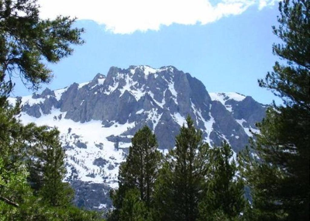 Birch Creek #1 - 1Br/1Ba - Down Canyon June Lake Exterior foto